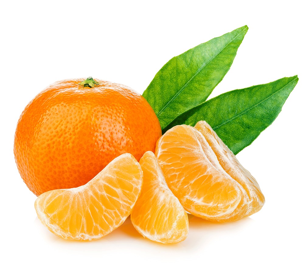 satsuma