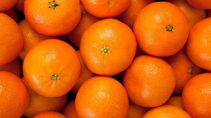 Mandalina