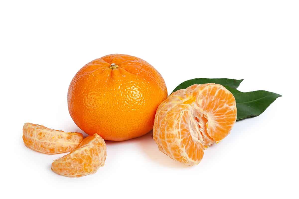 primasol